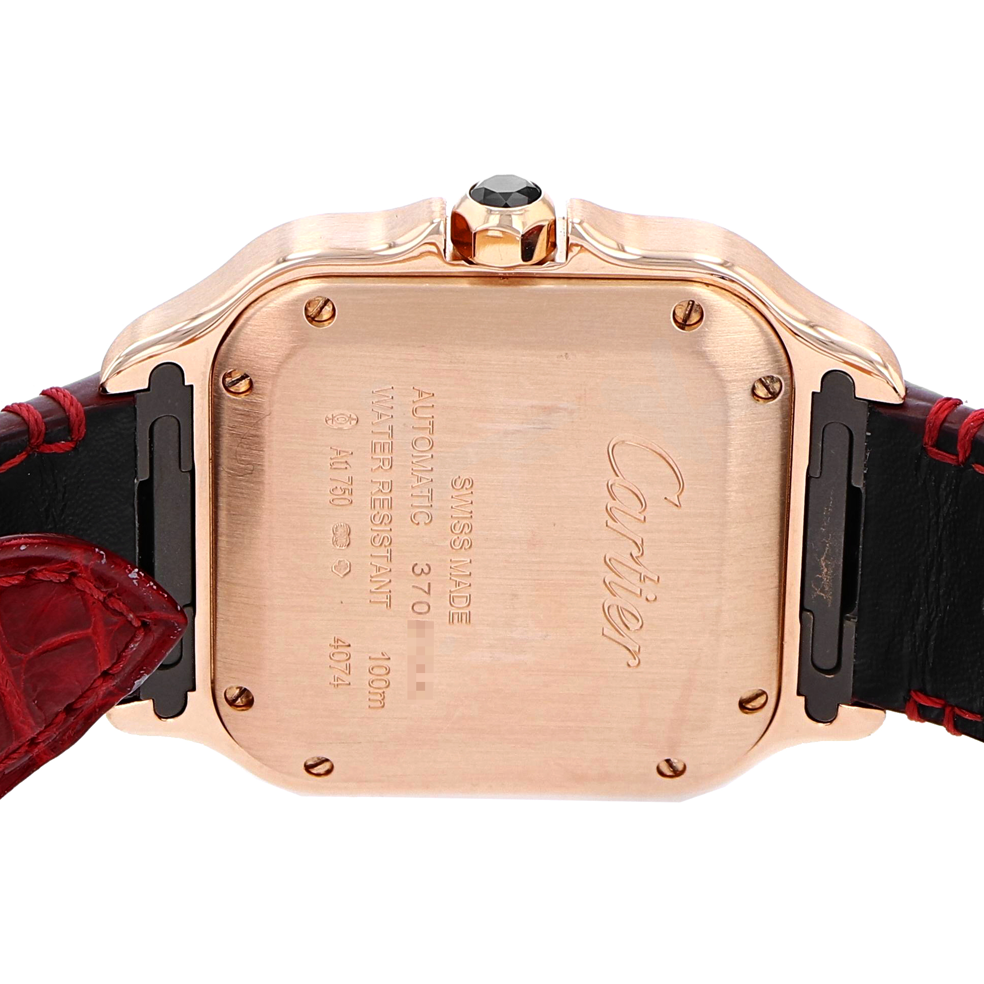 Cartier Santos WGSA0012 thumbnail 10