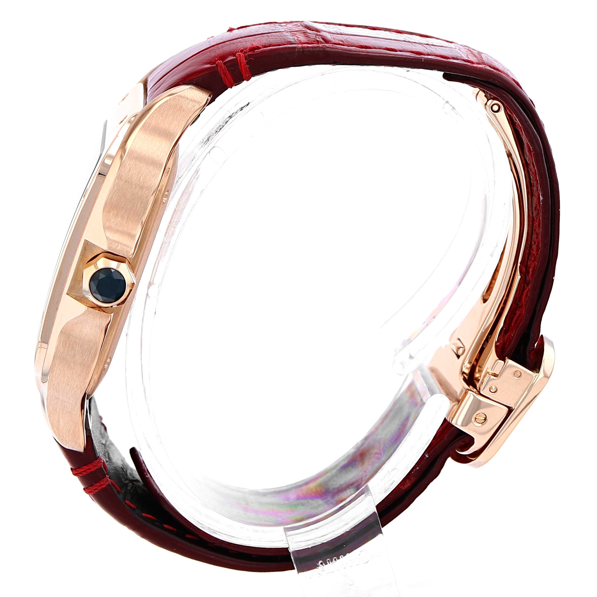 Cartier Santos WGSA0012 thumbnail 3