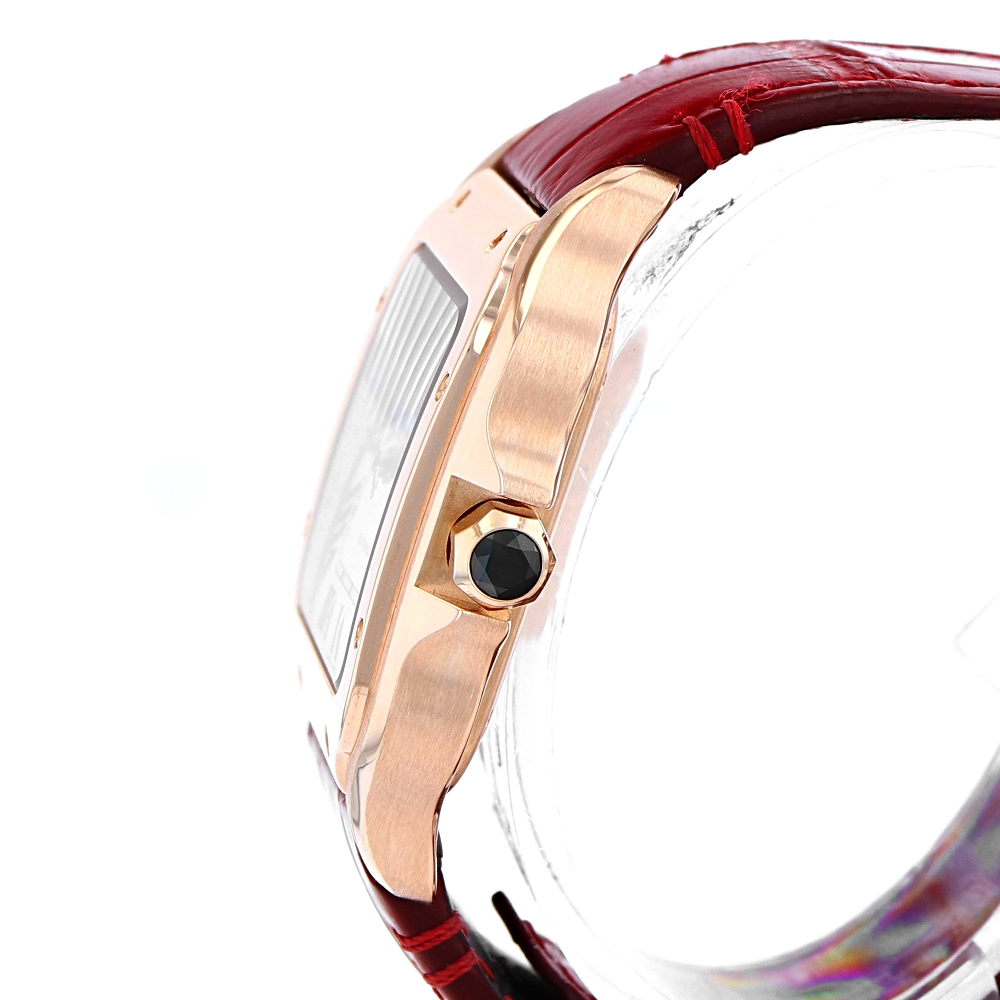 Cartier Santos WGSA0012 thumbnail 4