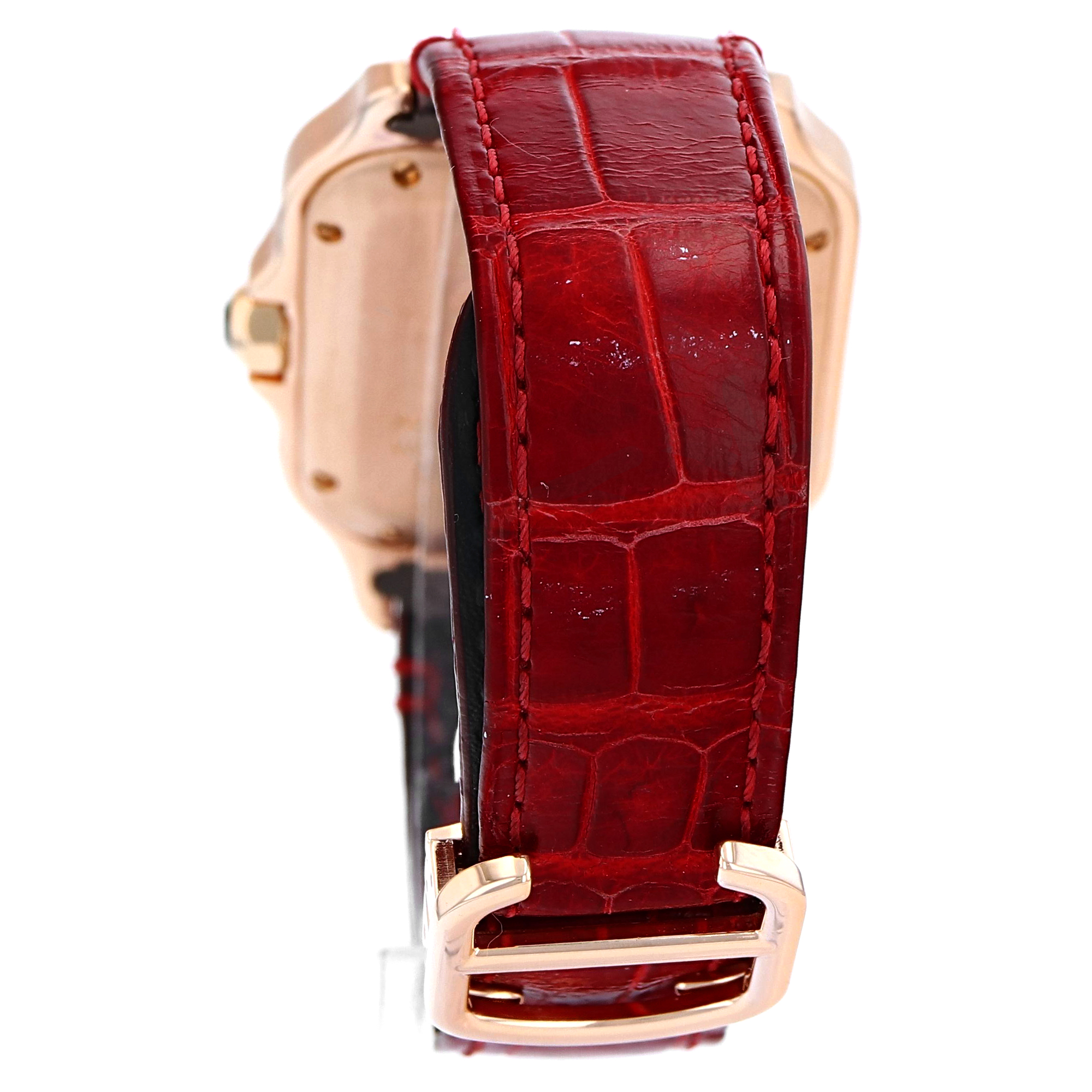 Cartier Santos WGSA0012 thumbnail 9